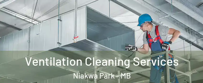  Ventilation Cleaning Services Niakwa Park - MB