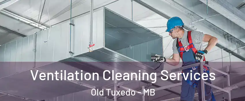  Ventilation Cleaning Services Old Tuxedo - MB