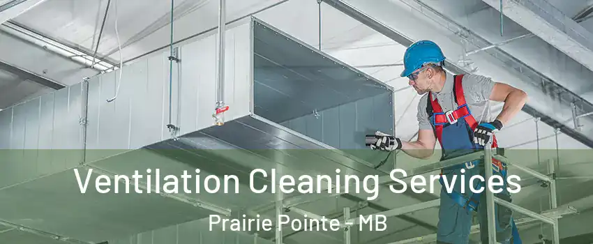  Ventilation Cleaning Services Prairie Pointe - MB