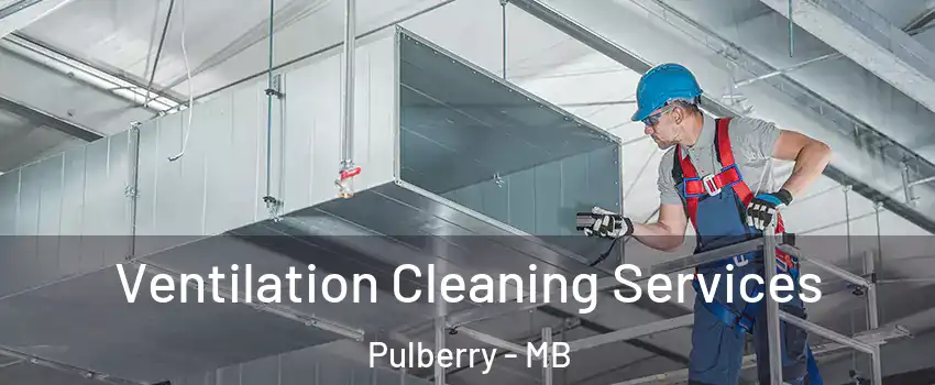  Ventilation Cleaning Services Pulberry - MB