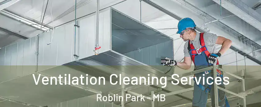  Ventilation Cleaning Services Roblin Park - MB