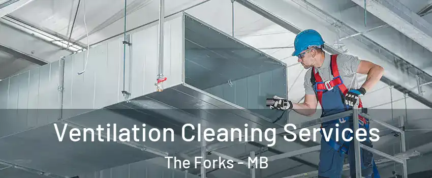  Ventilation Cleaning Services The Forks - MB