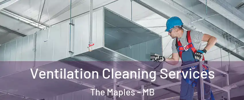  Ventilation Cleaning Services The Maples - MB