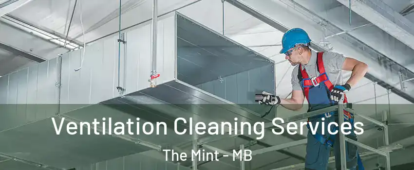  Ventilation Cleaning Services The Mint - MB