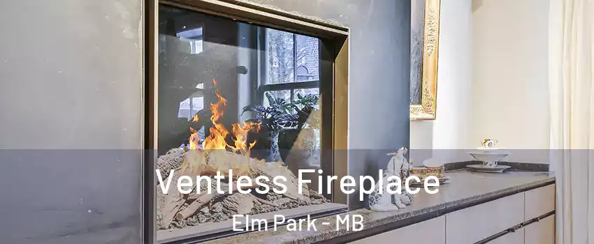  Ventless Fireplace Elm Park - MB