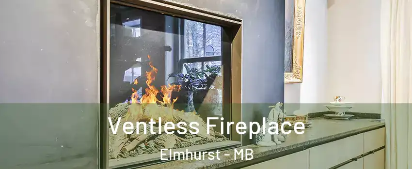  Ventless Fireplace Elmhurst - MB