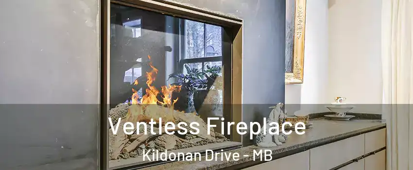  Ventless Fireplace Kildonan Drive - MB