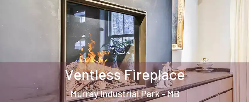  Ventless Fireplace Murray Industrial Park - MB