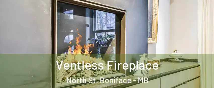  Ventless Fireplace North St. Boniface - MB