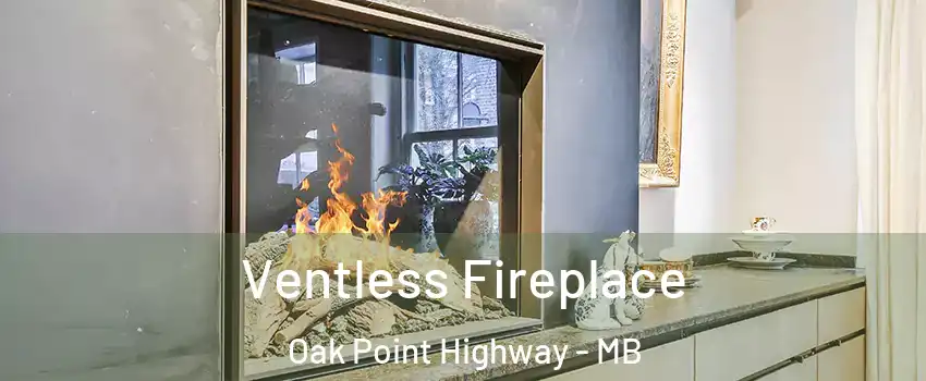  Ventless Fireplace Oak Point Highway - MB