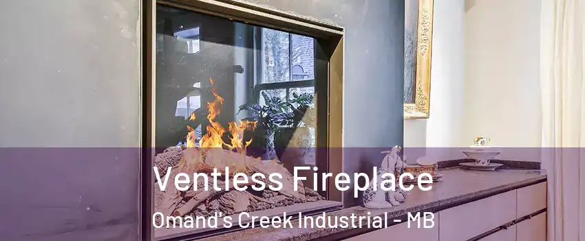 Ventless Fireplace Omand's Creek Industrial - MB