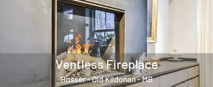 Ventless Fireplace Rosser - Old Kildonan - MB