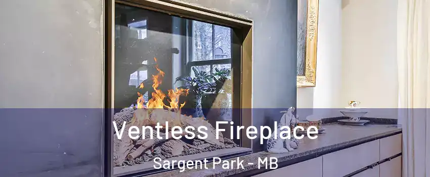  Ventless Fireplace Sargent Park - MB