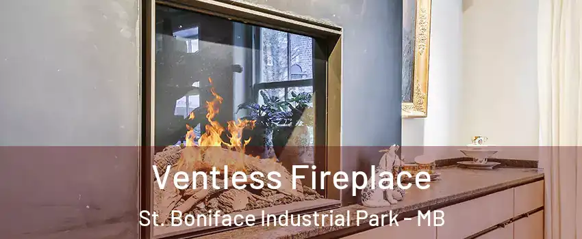 Ventless Fireplace St. Boniface Industrial Park - MB