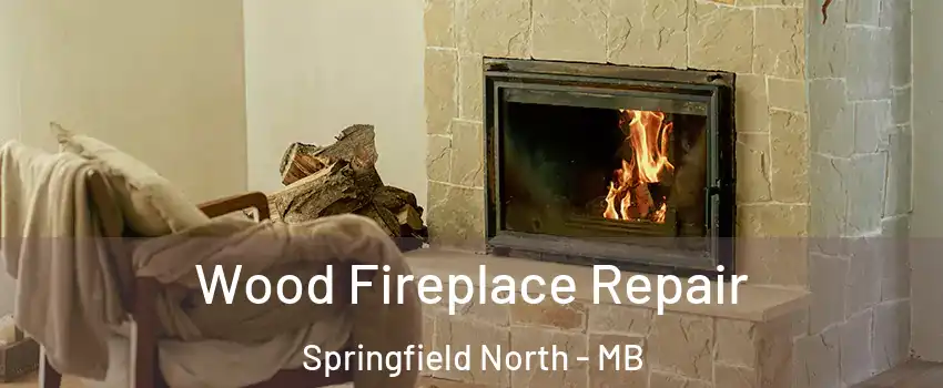  Wood Fireplace Repair Springfield North - MB