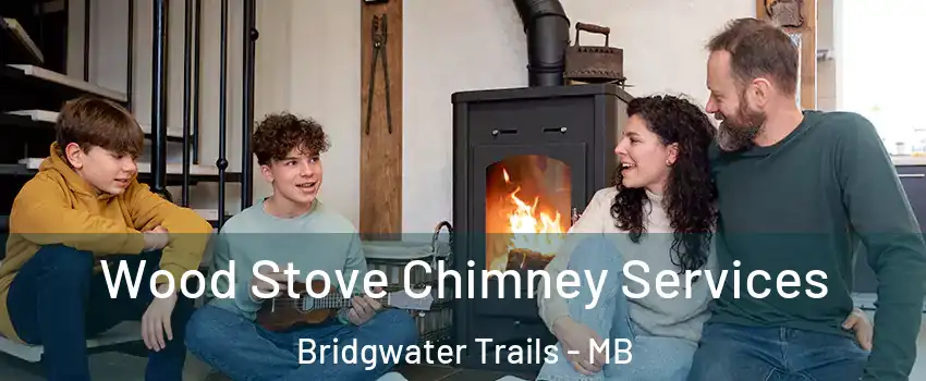  Wood Stove Chimney Services Bridgwater Trails - MB