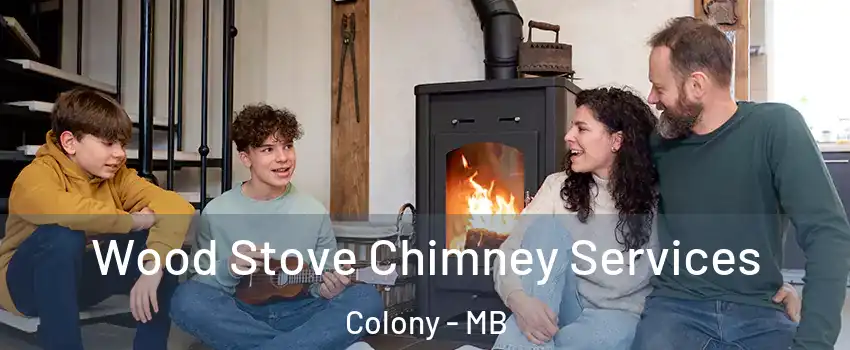  Wood Stove Chimney Services Colony - MB