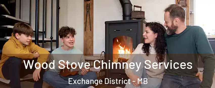  Wood Stove Chimney Services Exchange District - MB
