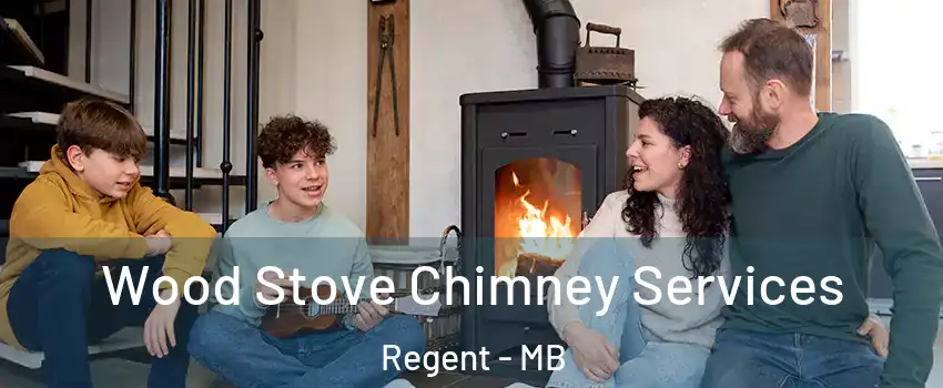  Wood Stove Chimney Services Regent - MB
