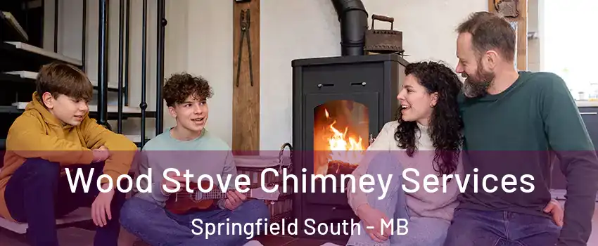  Wood Stove Chimney Services Springfield South - MB