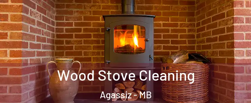  Wood Stove Cleaning Agassiz - MB
