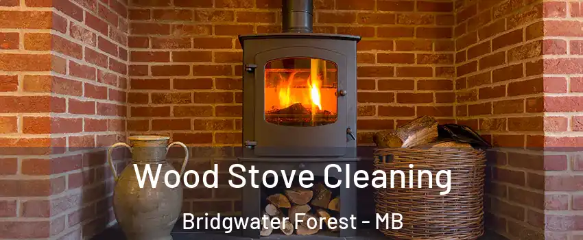  Wood Stove Cleaning Bridgwater Forest - MB