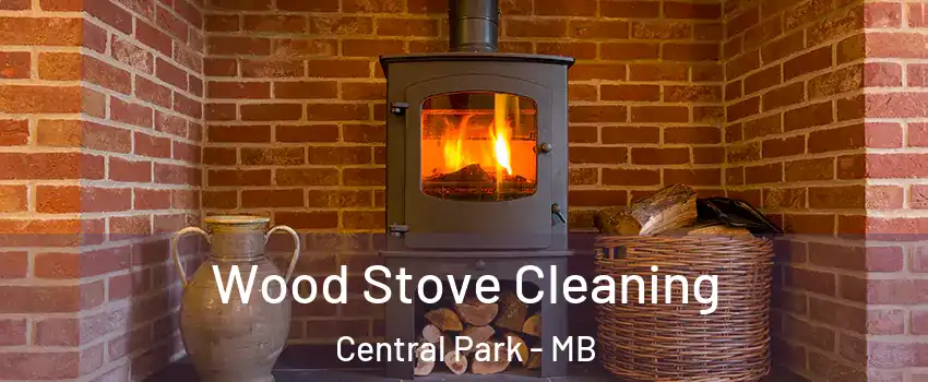  Wood Stove Cleaning Central Park - MB