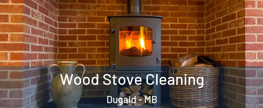  Wood Stove Cleaning Dugald - MB