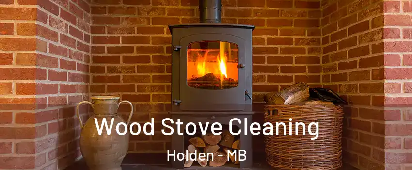  Wood Stove Cleaning Holden - MB