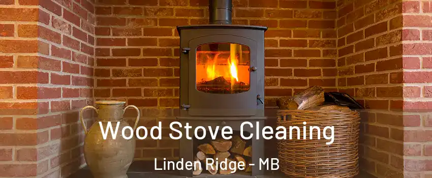 Wood Stove Cleaning Linden Ridge - MB