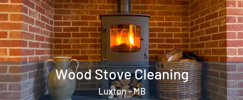  Wood Stove Cleaning Luxton - MB
