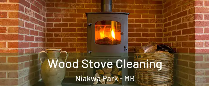  Wood Stove Cleaning Niakwa Park - MB