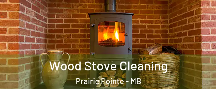  Wood Stove Cleaning Prairie Pointe - MB