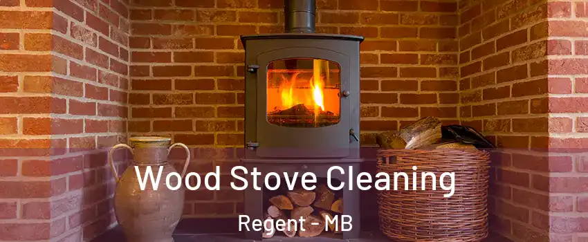  Wood Stove Cleaning Regent - MB
