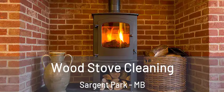  Wood Stove Cleaning Sargent Park - MB