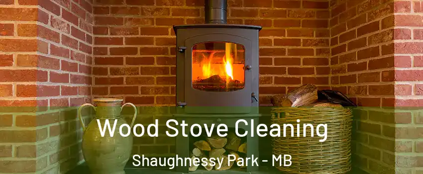 Wood Stove Cleaning Shaughnessy Park - MB
