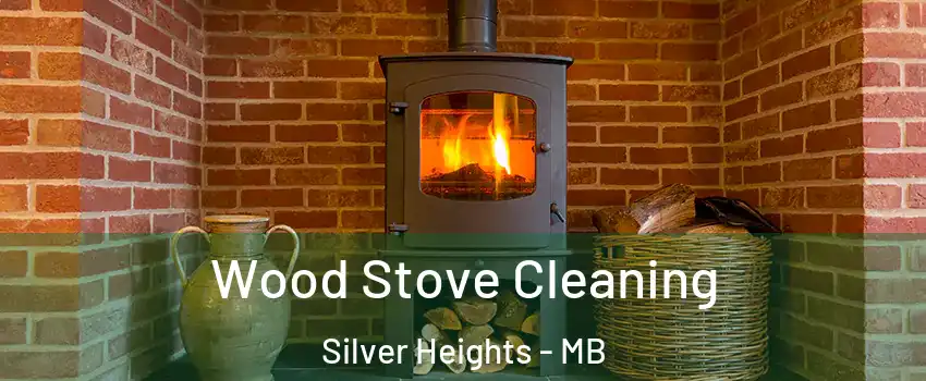  Wood Stove Cleaning Silver Heights - MB