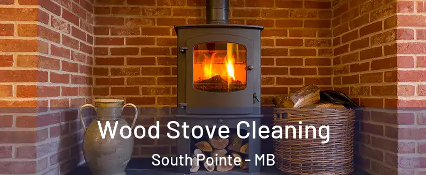  Wood Stove Cleaning South Pointe - MB