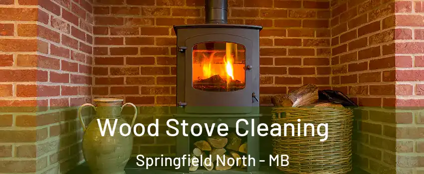  Wood Stove Cleaning Springfield North - MB