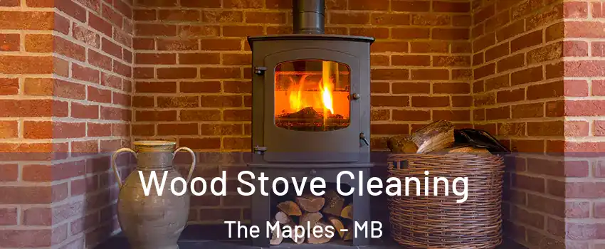 Wood Stove Cleaning The Maples - MB