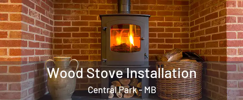  Wood Stove Installation Central Park - MB