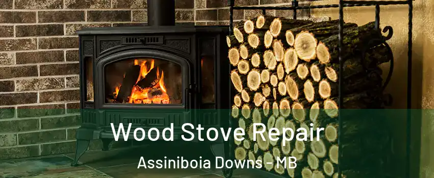  Wood Stove Repair Assiniboia Downs - MB