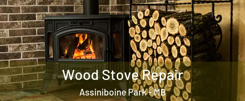  Wood Stove Repair Assiniboine Park - MB