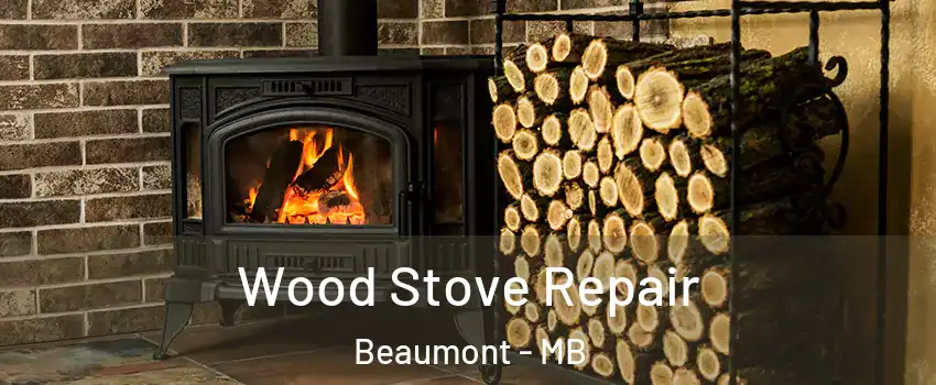  Wood Stove Repair Beaumont - MB