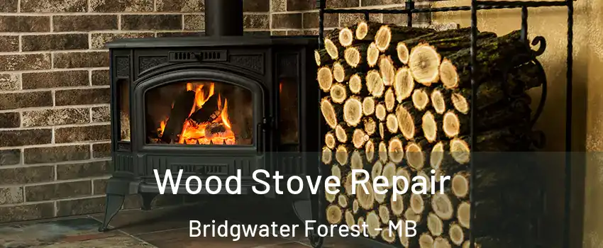  Wood Stove Repair Bridgwater Forest - MB
