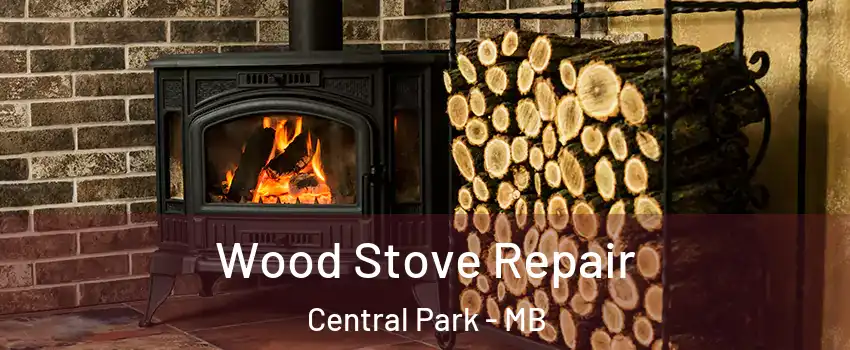  Wood Stove Repair Central Park - MB
