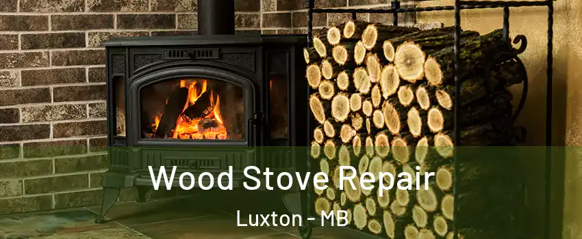  Wood Stove Repair Luxton - MB