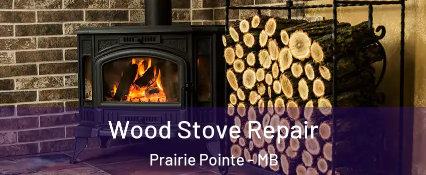  Wood Stove Repair Prairie Pointe - MB